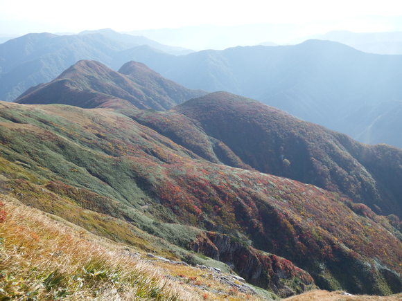 f0118332_2349445.jpg