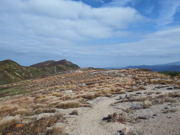 f0118332_23591942.jpg