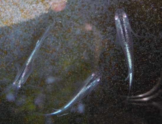 e0097534_173247100.jpg