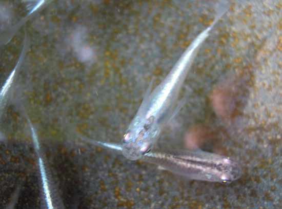 e0097534_17325737.jpg