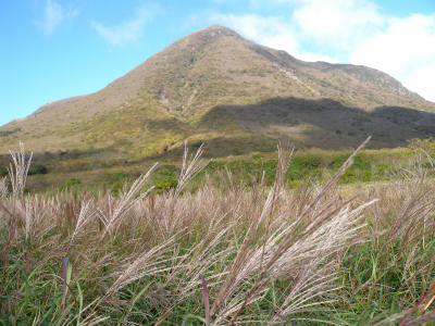 e0272335_20343175.jpg