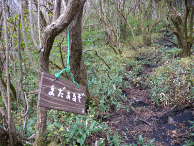 e0272335_20502284.jpg
