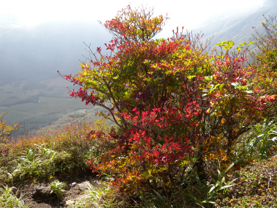 e0272335_20521886.jpg