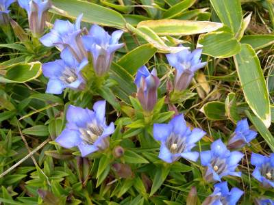 e0272335_2122822.jpg