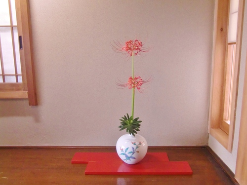 f0329849_1692825.jpg