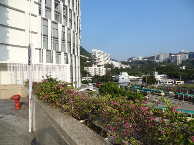 f0036857_19405776.jpg