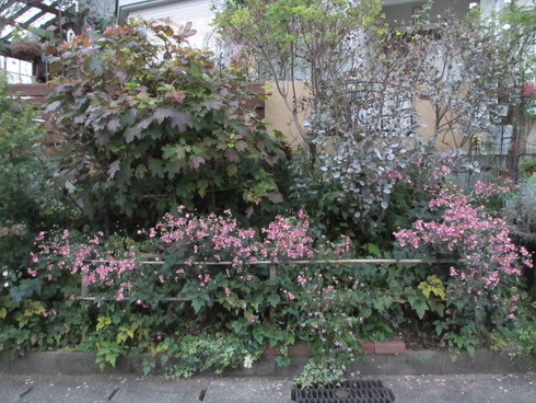 a0243064_9465137.jpg