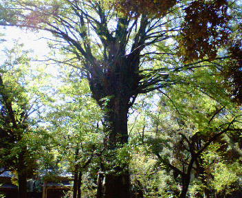f0223565_8262449.jpg