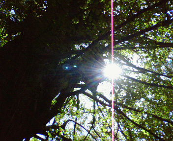 f0223565_826419.jpg
