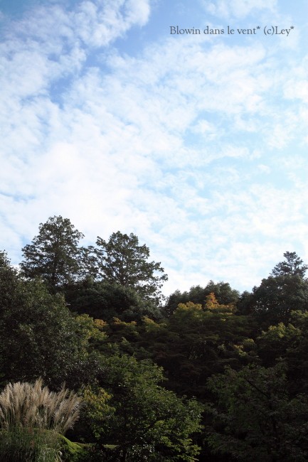 f0251765_745246.jpg