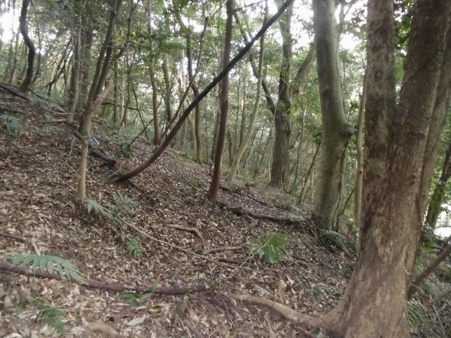 f0318967_21352117.jpg