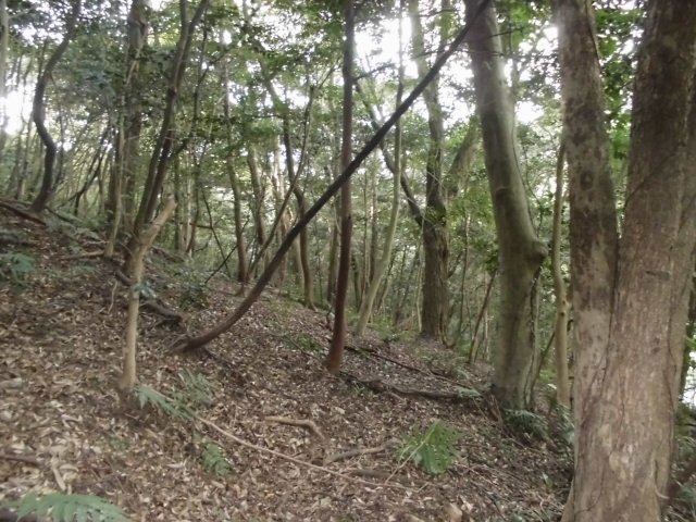 f0318967_21353117.jpg
