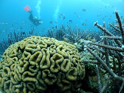 b0033573_15270787.jpg