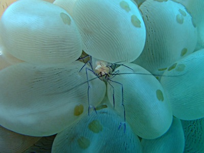 b0033573_15275914.jpg