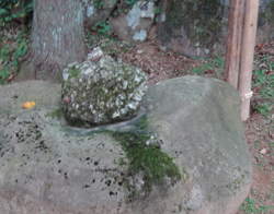 f0168873_22332734.jpg