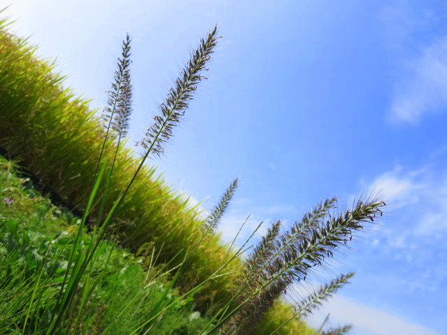 d0264176_1845512.jpg