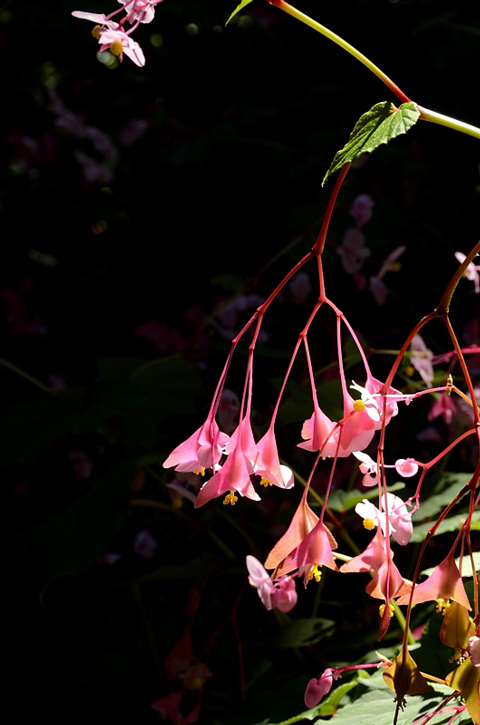 f0108478_17523214.jpg