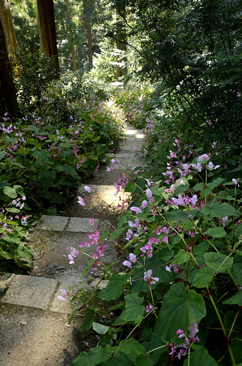 f0108478_17554681.jpg