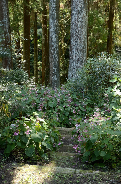 f0108478_18114183.jpg