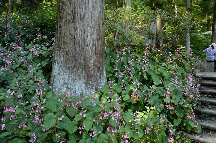 f0108478_18132233.jpg