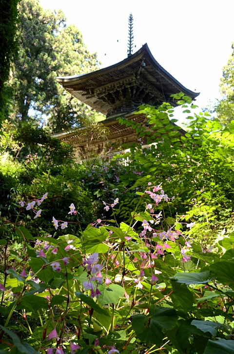 f0108478_1883677.jpg