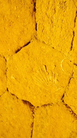 a0278382_05003547.jpg