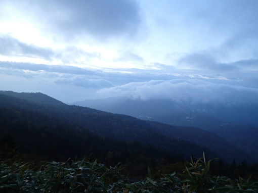 a0279883_16262310.jpg
