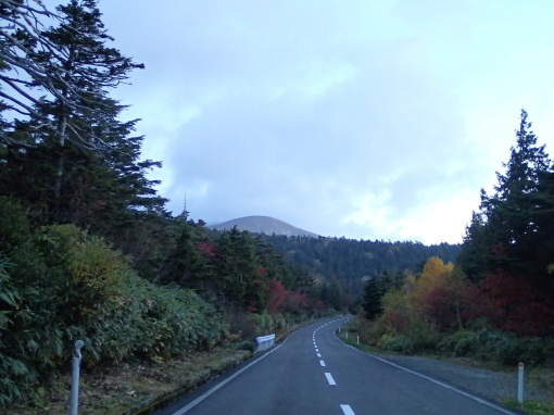 a0279883_16264349.jpg