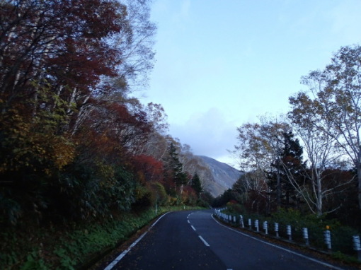 a0279883_16265617.jpg