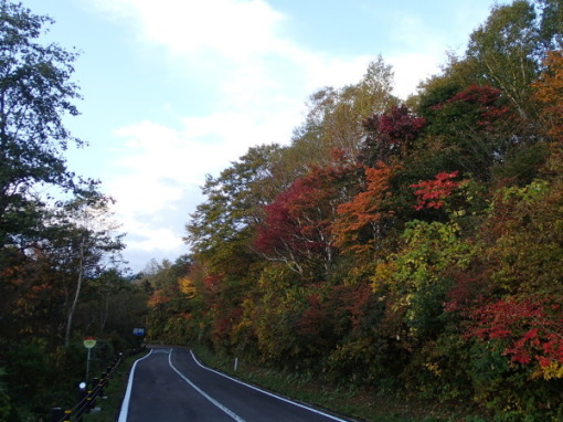 a0279883_17113296.jpg
