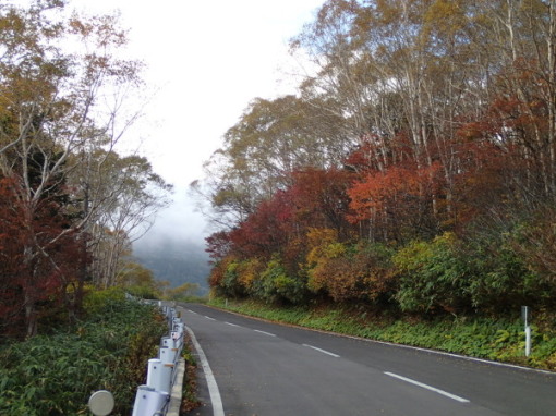 a0279883_17153759.jpg