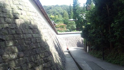 c0219090_20202629.jpg