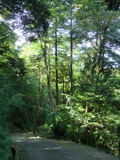 e0023790_21463378.jpg