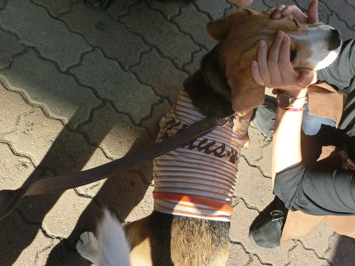 a0319693_948491.jpg