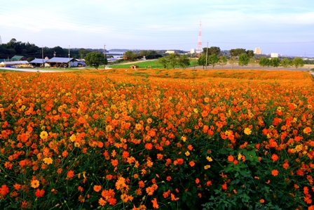b0236595_1671279.jpg