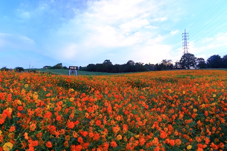 b0236595_1674810.jpg
