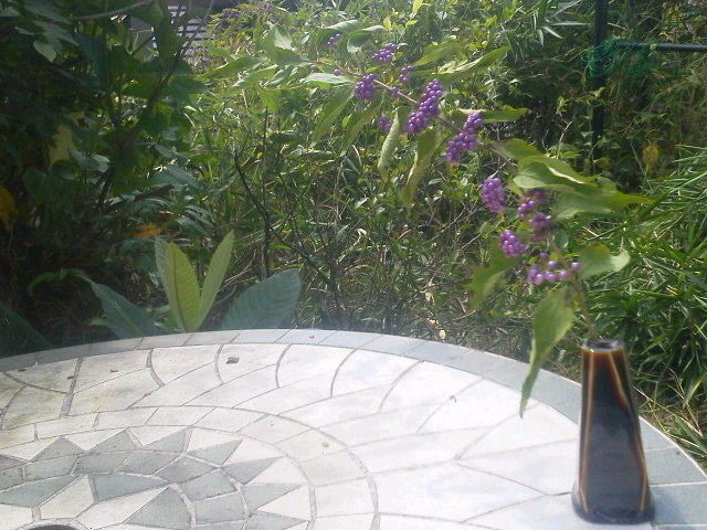 b0193708_13474280.jpg