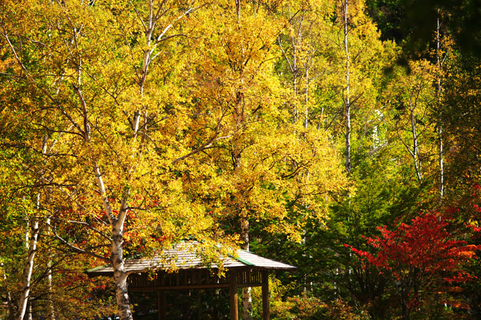 a0263109_10195125.jpg