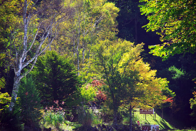 a0263109_10413715.jpg