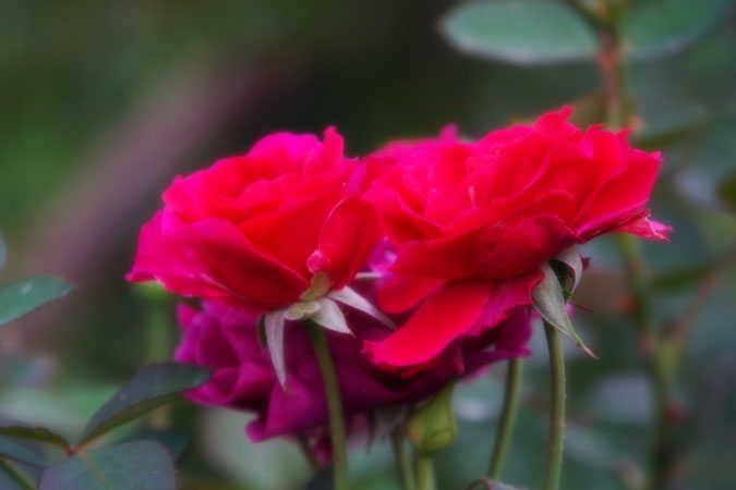 a0263109_17104163.jpg