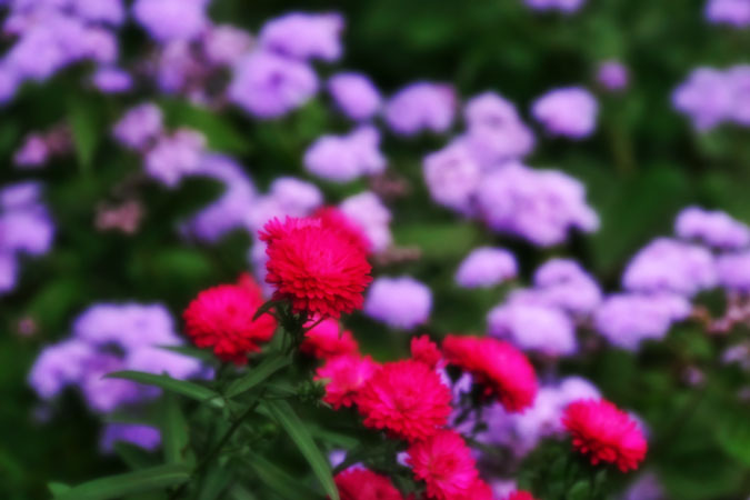 a0263109_17104413.jpg