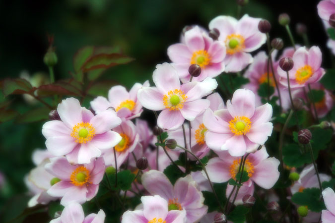 a0263109_17122546.jpg