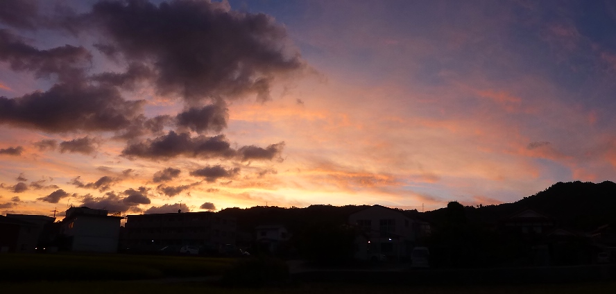 b0057612_2053688.jpg