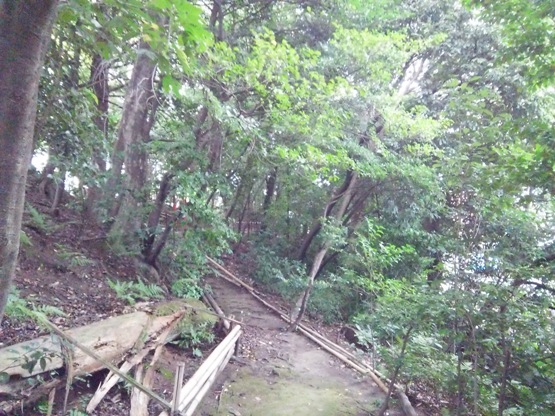 e0033713_17100035.jpg
