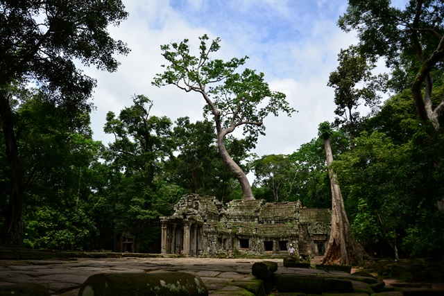 f0046614_13431630.jpg