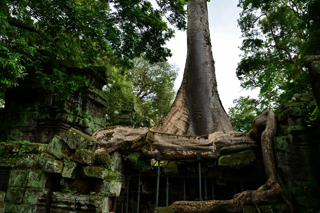 f0046614_13522241.jpg