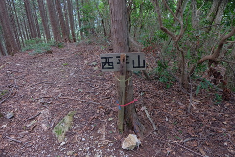 b0281732_7172830.jpg
