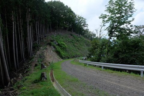 b0281732_718422.jpg