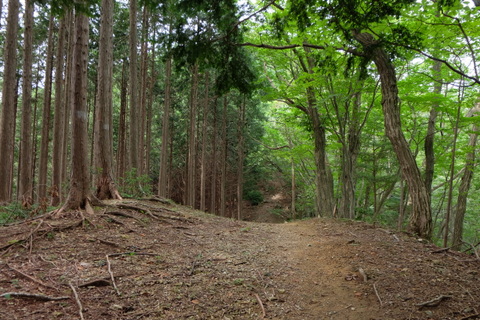 b0281732_7185746.jpg