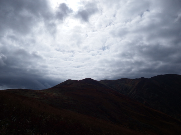 f0118332_002115.jpg